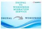 Seamless Drupal to WordPress Migration Service | HireWPGeeks