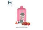 Strawberry Pomp (Pomegranate) Fumot Digital Box