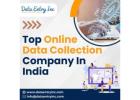 Best Online Data Collection Services In India