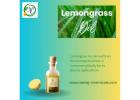 Lemongrass Oil Suppliers In India