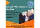 Expert ESI and PF Consultancy Services for Your Business