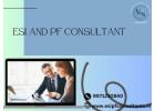 Professional ESI PF Advisor for Efficient Fund Management