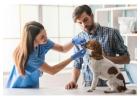 Essential Veterinary Products: A Complete Guide to Keeping Your Pets Safe and Healthy