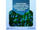 Human Bone Marrow derived Mesenchymal Stem Cells for your research