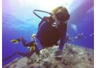 Enroll in SSI Specialty Courses in Andaman to Gain Expert Diving Skills