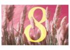 Characteristics of the master number 8 in numerology