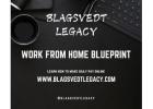 LEARN OUR 6 FIGURE ON-LINE BLUEPRINT. EARN DAILY PAY BY WORKING A FEW HOURS A DAY! 