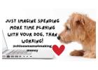 No More Guilt: Crush Your Workday, While Your Dog Enjoys Playtime!