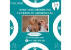 The Best Dog Grooming Centres in Ahmedabad