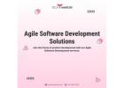 Agile Software Development Solutions