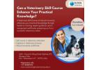 Can a Veterinary Skill Course Enhance Your Practical Knowledge?