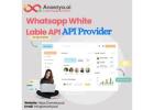 Empower Your Brand with WhatsApp API White Label Solutions