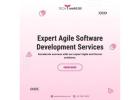 Expert Agile Software Development Services