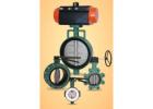 Resilient Seated Butterfly Valve Manufacturer in India