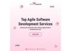 Top Agile Software Development Services