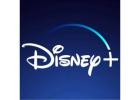 What are the security measures for DisneyPlus.com login?