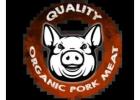 Porkipine | Premium Quality Pork Meat for Every Meal