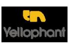 Internet Marketing Services in Mumbai - Yellophant