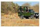 Get Devaliya Park Safari Booking for Wonderful Experience  