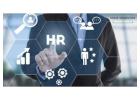 Expert HR Services in Dallas – EGRAB Services for Your Business Needs