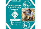 Are You Looking For Pet Sitter in Kolkata