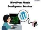 The Benefits of Custom WordPress Plugin Development Services