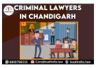 criminal lawyers in chandigarh