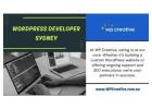 Expert WordPress Developer in Sydney - Elevate Your Online Presence with WP Creative