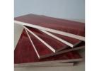 Shuttering Plywood Manufacturers