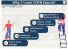  Online CCNA Training Institute in Gurgaon