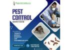 Expert Rodent Control in Bhubaneswar - Safe & Effective Solutions