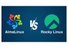 AlmaLinux vs Rocky Linux: Decoding the Best for Your Needs