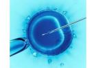  Nex IVF: Your Path to Parenthood in Patna Looking for the best IVF Centre  in Patna?