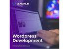 custom wordpress development