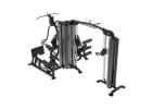 High-Quality Professional Gym Equipment at TheXPT.com