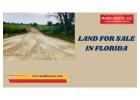 Affordable Florida Land for Sale 