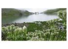 Valley of Flowers Package By Helicopter - Blue Poppy Holidays