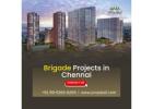 Brigade Projects in Chennai