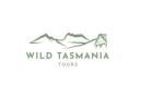 Affordable Tasmania Backpacker Tours: Your Guide