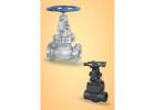 Globe Valve Manufacturer, Supplier & Exporter