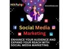 Elevate Your Presence with Social Media Marketing Solutions | Hot Fuego 