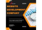 web designing and development companies