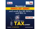 irs enrolled agent