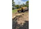 Expert Tree and Stump Removal Services on the Gold Coast