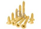 Brass Screw Manufacturer and Supplier in Jamnagar India