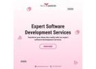 Expert Software Development Services