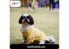 Get Stylish Dog Clothes at Boof by Bella for Your Pets