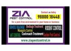 Zia Pest control | bedbug treatment | we tackle any pest problem | 1886