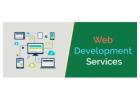 Choose the Best Web Development Company in Noida