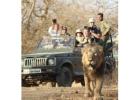 Reserve Devaliya Safari Park Booking for Wild Adventure